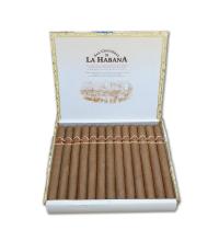 Lot 124 - San Cristobal de la Habana El Morro 