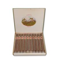 Lot 14 - La Flor de Cano Cristales 