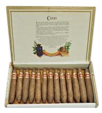 Lot 226 - Cuaba Tradicionales