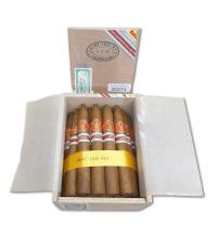 Lot 263 - Saint Luis Rey Pacificos 