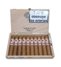 Lot 372 - La Flor de Cano Magicos