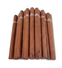 Lot 385 - Montecristo A 