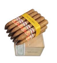 Lot 413 - Saint Luis Rey Pacificos 