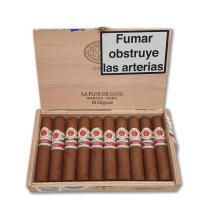 Lot 441 - La Flor de Cano Magicos