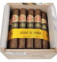 Lot 503 - Punch Regios de Punch 