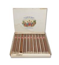 Lot 51 - La Flor de Mayo Embajadores