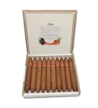 Lot 64 - Cuaba Salomones