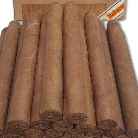 Lot 10 - Partagas Coronas 