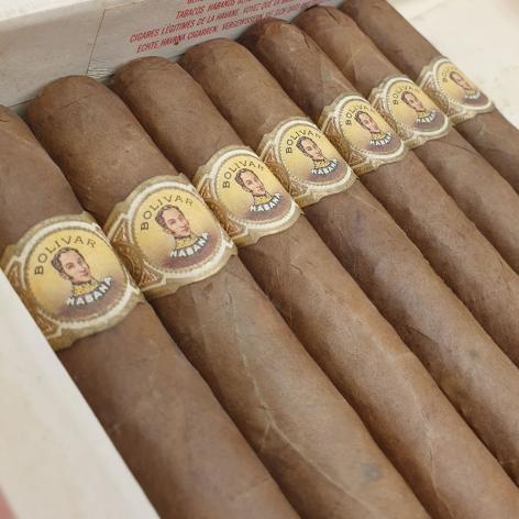 Lot 136 - Bolivar Churchills 