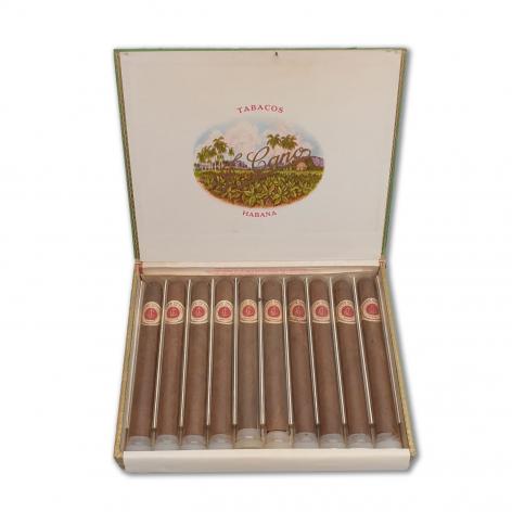 Lot 14 - La Flor de Cano Cristales 