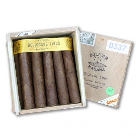 Lot 160 - Bolivar Belicosos Finos