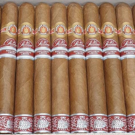 Lot 203 - Ramon Allones Phoenicio 40