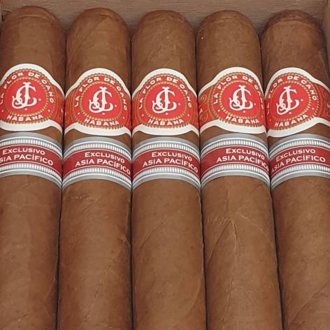 Lot 232 - La Flor de Cano Grandiosos 