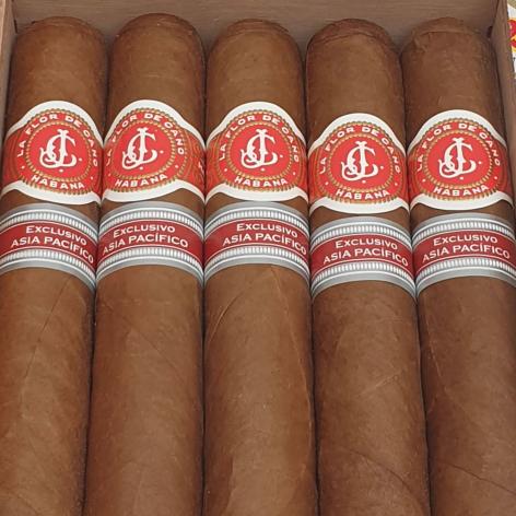 Lot 234 - La Flor de Cano Grandiosos 