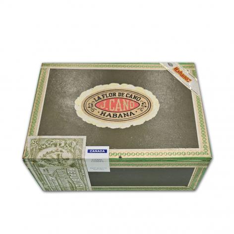 Lot 238 - La Flor de Cano Predilectos Tubulares