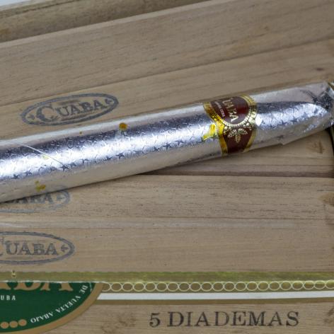 Lot 241 - Cuaba Diadema