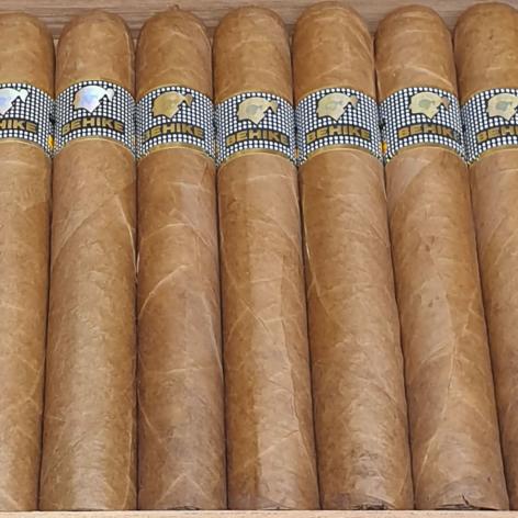 Lot 283 - Cohiba Behike 56 Humidor 