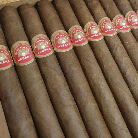 Lot 284 - Dunhill H. Upmann Selection Suprema No. 23