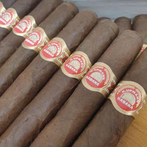 Lot 310 - H. Upmann Petit Coronas 