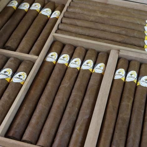 Lot 342 - Cohiba 35th Anniversario Humidor 