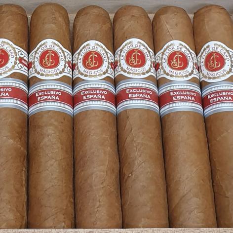 Lot 372 - La Flor de Cano Magicos