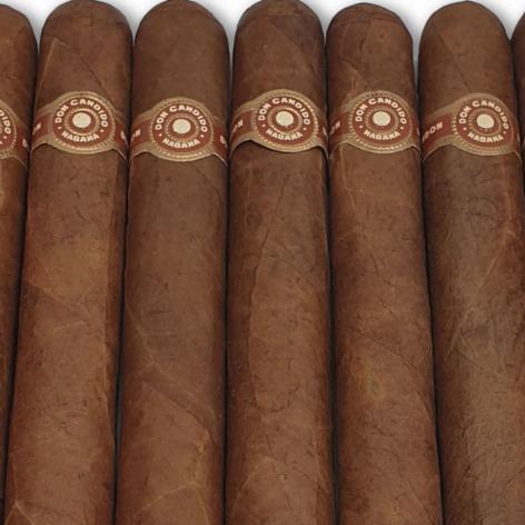 Lot 40 - Dunhill Don Candido Seleccion No.506 