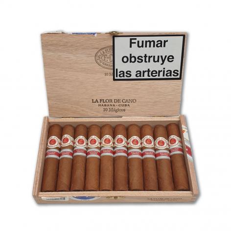 Lot 440 - La Flor de Cano Magicos