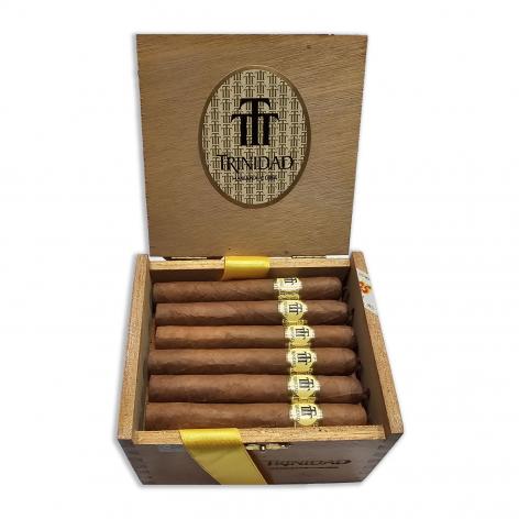 Lot 476 - Trinidad Reyes 