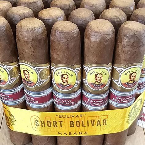 Lot 490 - Bolivar Short Bolivar 