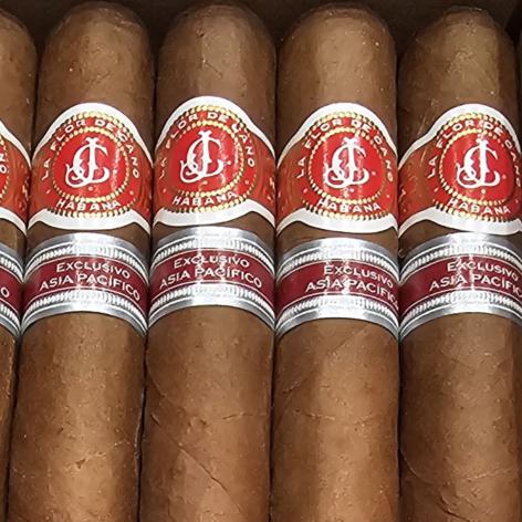 Lot 491 - La Flor de Cano Grandiosos 