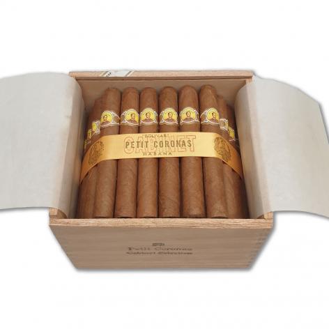 Lot 49 - Bolivar Petit Coronas 