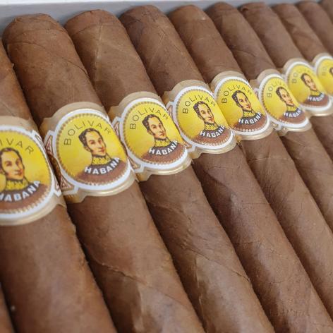 Lot 49 - Bolivar Bonitas 