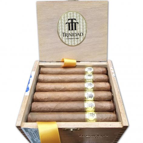 Lot 507 - Trinidad Reyes 