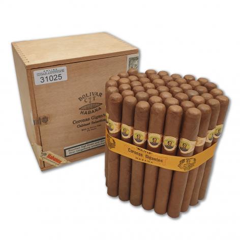 Lot 50 - Bolivar Coronas Gigantes 