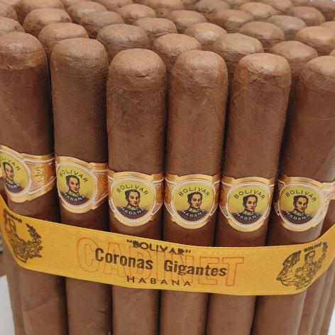 Lot 50 - Bolivar Coronas Gigantes 