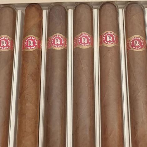 Lot 51 - La Flor de Mayo Embajadores