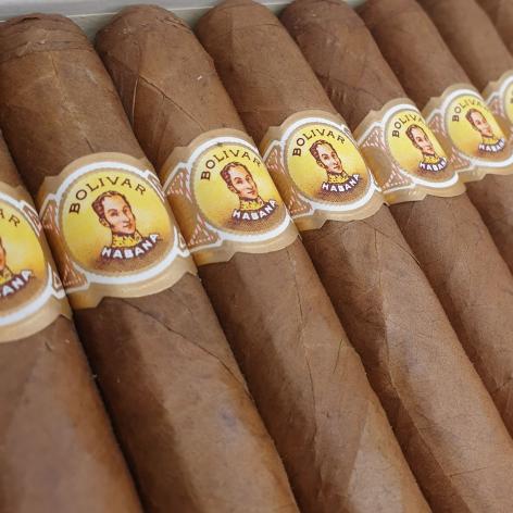 Lot 51 - Bolivar Coronas Gigantes 