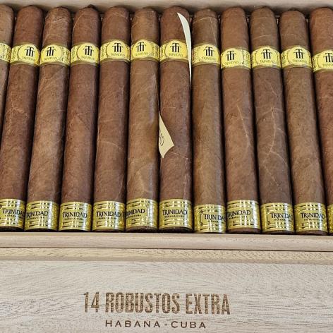 Lot 527 - Trinidad Robusto Extra travel humidor