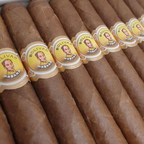 Lot 55 - Bolivar Lonsdales