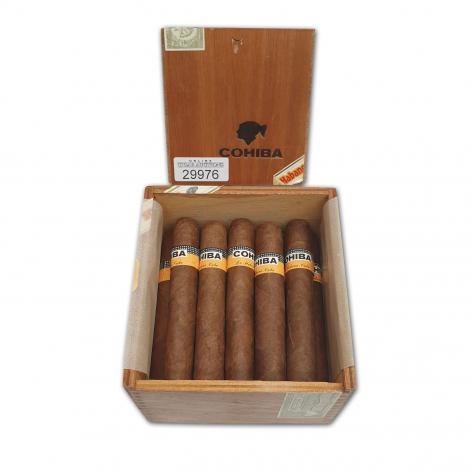 Lot 5 - Cohiba Robusto