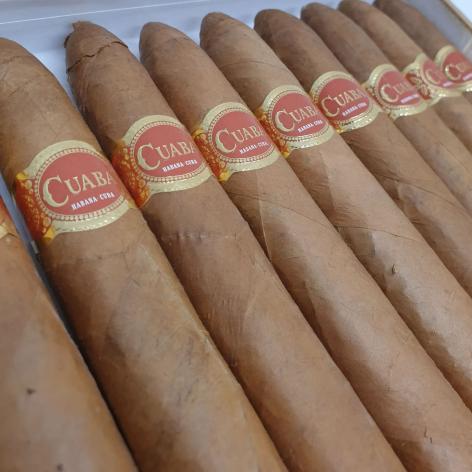 Lot 64 - Cuaba Salomones