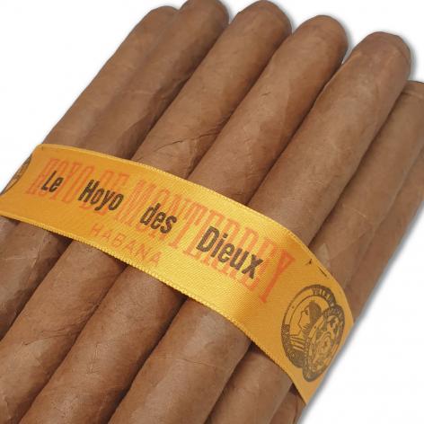 Lot 69 - Hoyo de Monterrey Le Hoyo des Dieux