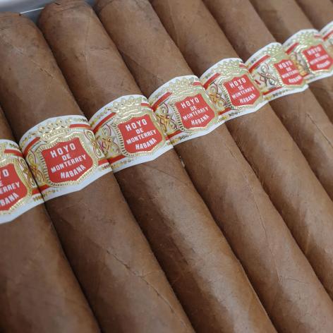 Lot 73 - Hoyo de Monterrey Coronas 