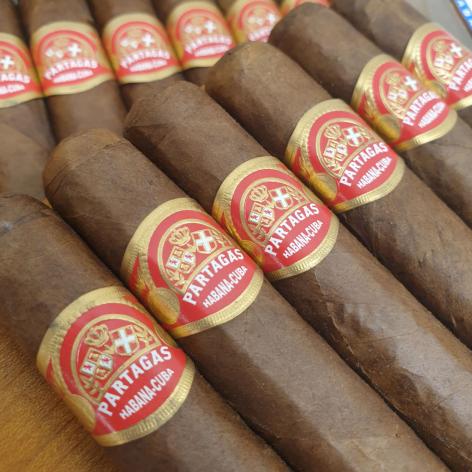 Lot 75 - Partagas Shorts 