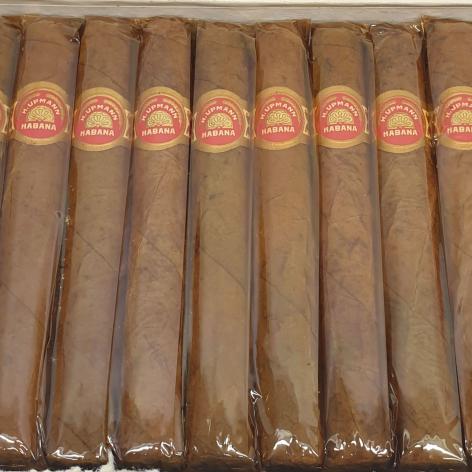 Lot 7 - H.Upmann Aromaticos 