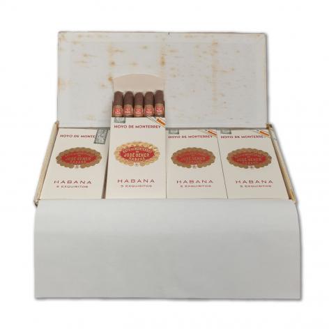 Lot 81 - Hoyo de Monterrey Exquisitos 