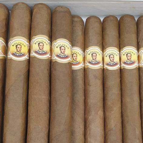 Lot 8 - Bolivar Imensas